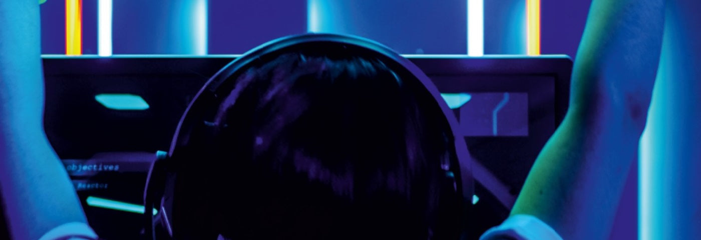 design gaming chairs raccoon